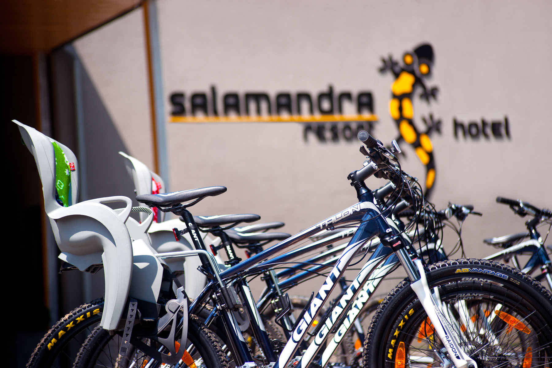 salamandra požičovňa bicyklov